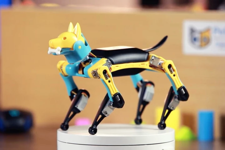 Bittle's plastic frame is said to be quite bendy and durable, although the electronics are not waterproof