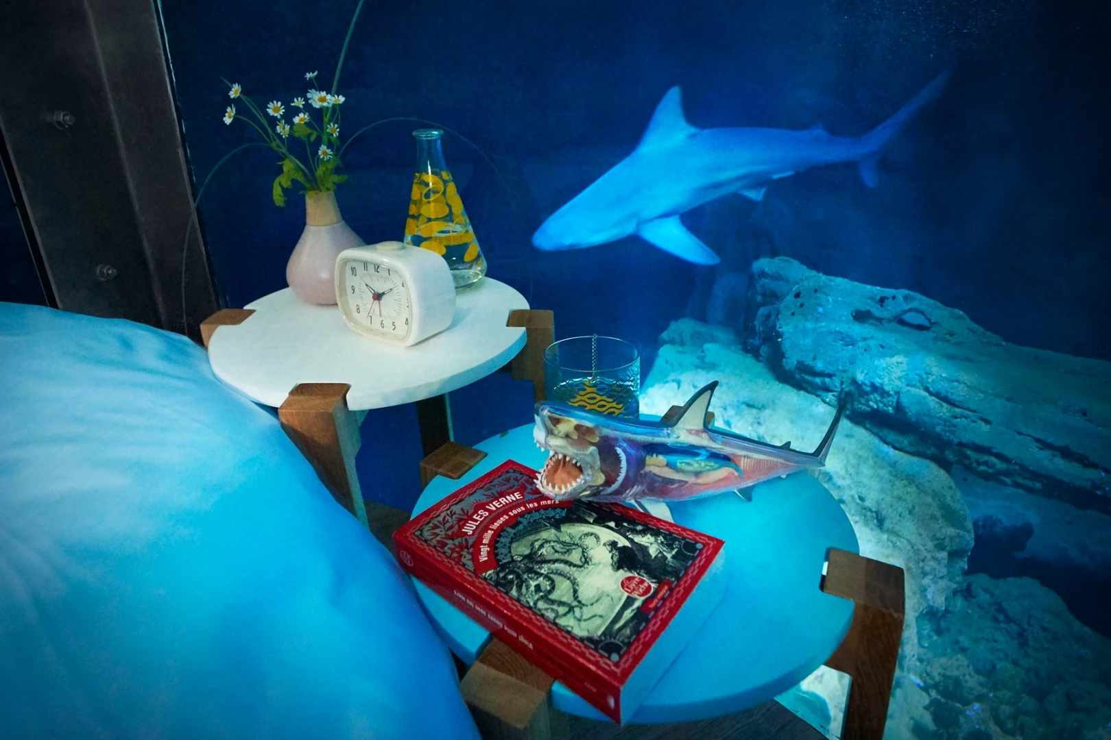 There are 35 sharks in the aquarium's shark tank