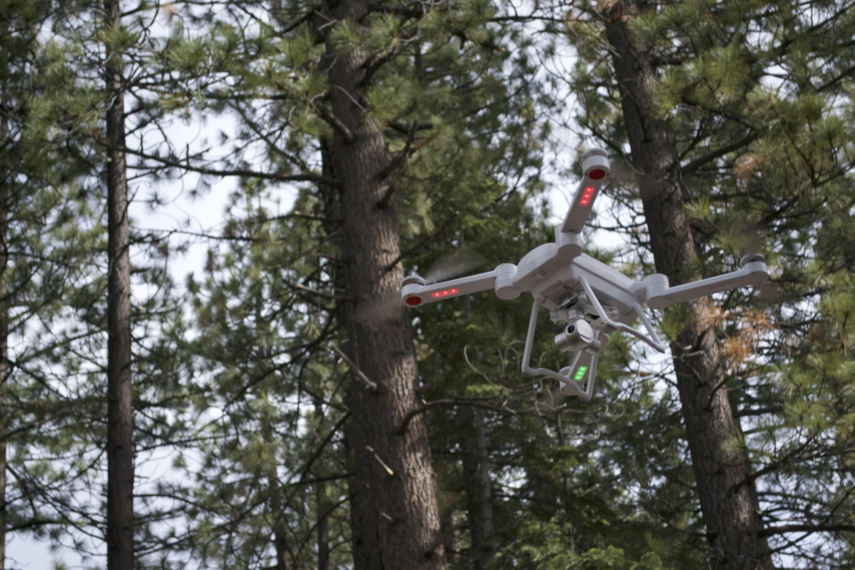 The ProDrone Byrd Standard in flight