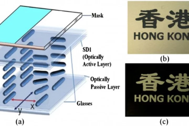 The prototype LCD requires no power to maintain an image and can display in 3D as well (Image: Abhishek Kumar Srivastava)