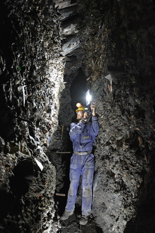 An archaeologist standing in the middle of layers of accumulated mining debris including paleofeces