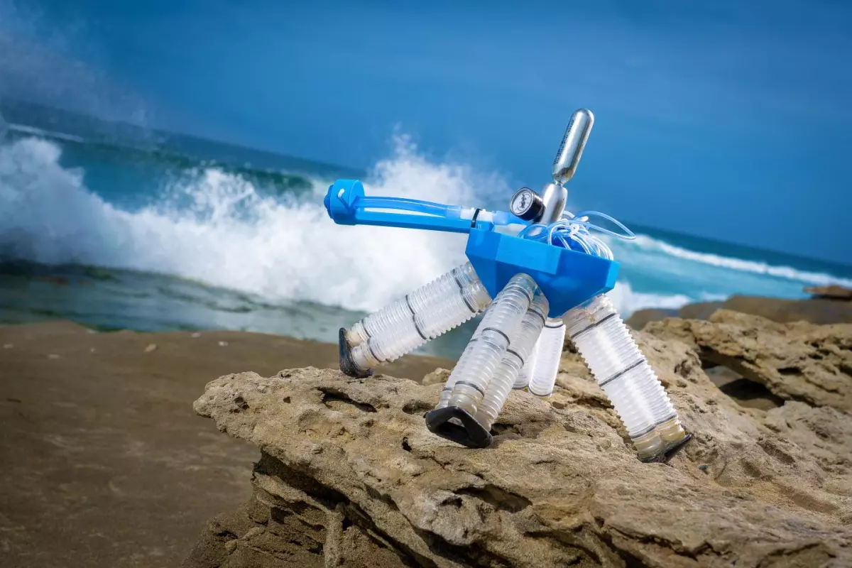 The new air-powered robot developed at UC San Diego has a walking pattern inspired by sideneck turtles