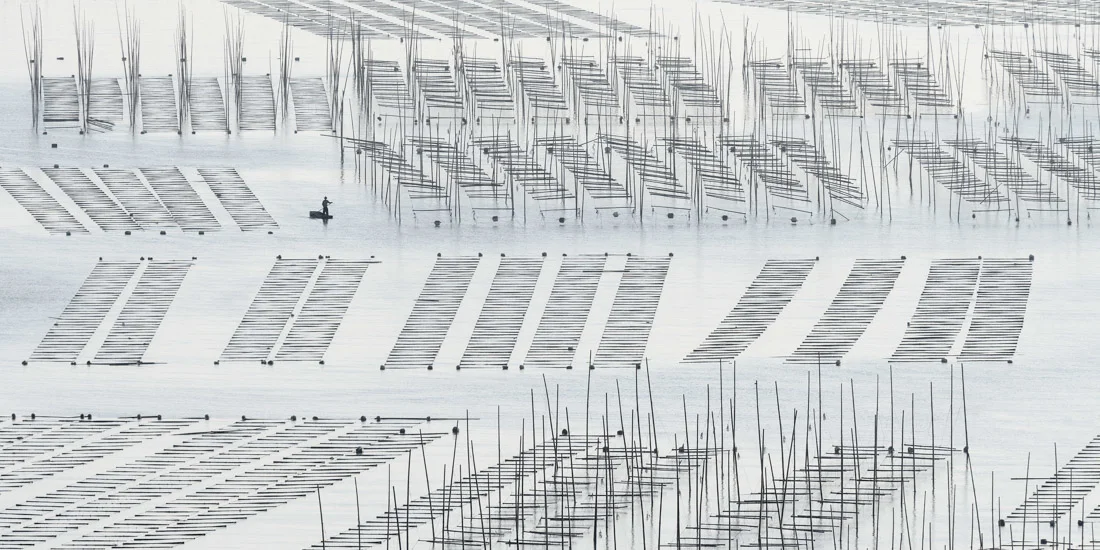 Some spectacular entries from the shortlist in the Open - Built Environment / Architecture category