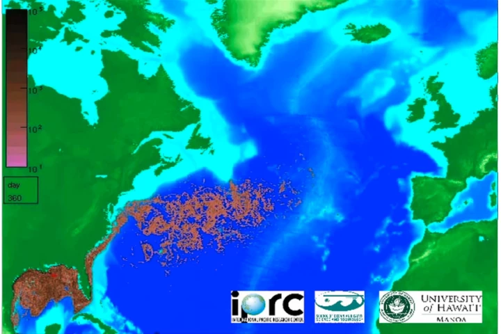 The computer animation's prediction of the oil spill after 360 days - April 15 2011 (Image: IPRC/SOEST/UHM)