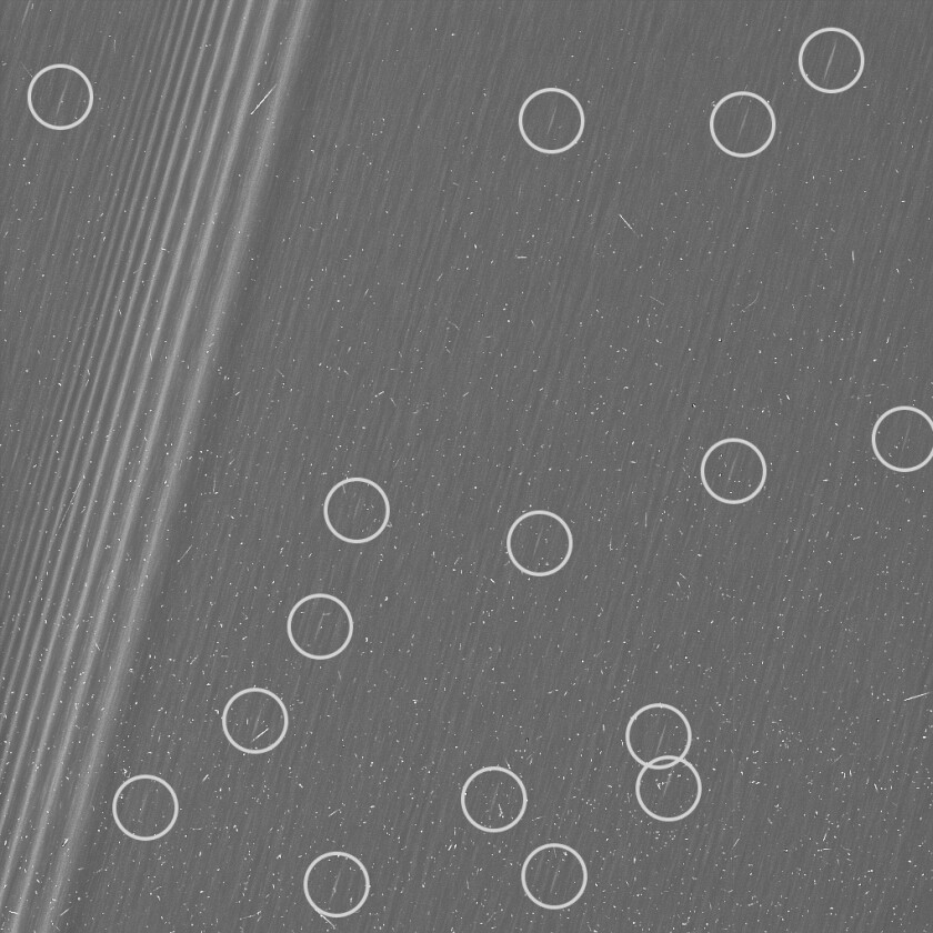 A Cassini image of Saturn's A ring with instances of propeller disturbances circled