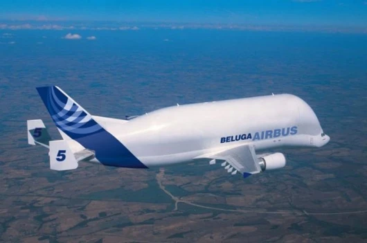 The A300-600ST is appropriate named after the Beluga whale