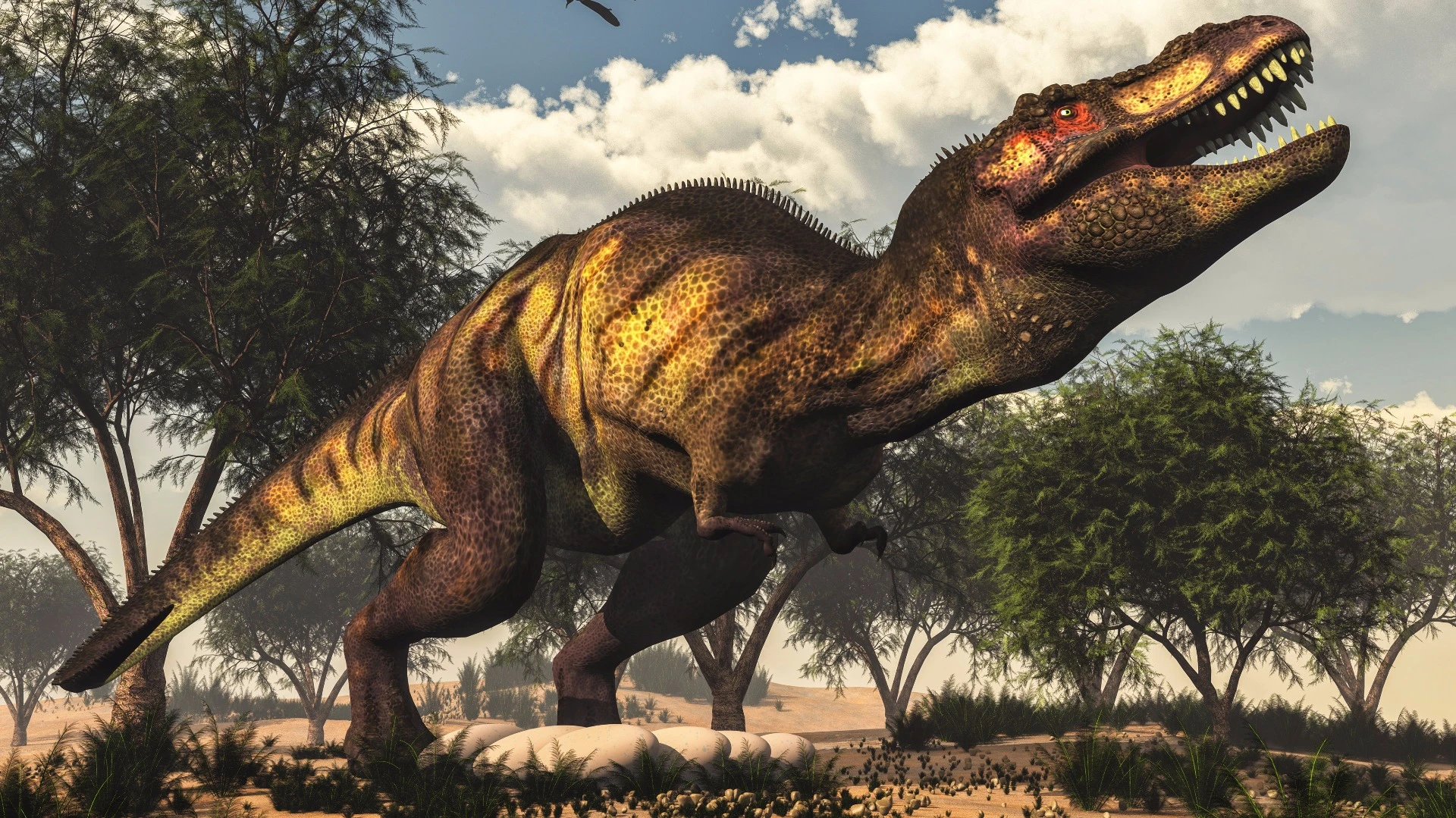 New computer modeling claims that the T. rex wouldn't have been able to run due to its size and weight