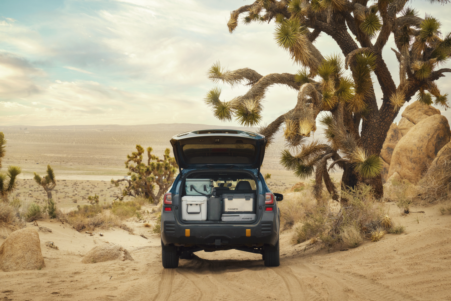 Dometic turns car into camper via stackable, trunk-size base camp kit The Go Series aims to offer car camping essentials that store neatly together inside a trunk