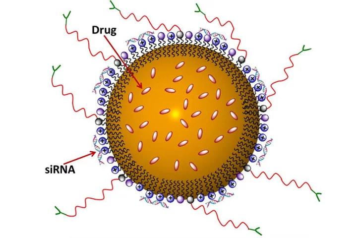 The Nanostructured Lipid Carrier (NLC) that can be inhaled to deliver an anticancer drug directly to the lungs (Image: Oregon State University)