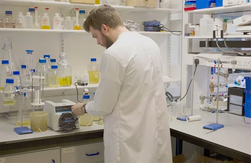 The bacteria is grown in a nutrient solution