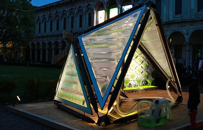 Demonstration canopy at "Feeding new ideas for the city" event in Milan