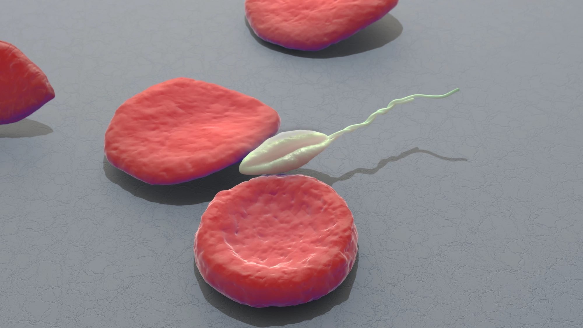 Researchers gene edited the Leishmania major parasite so it could be used in a vaccine without causing disease