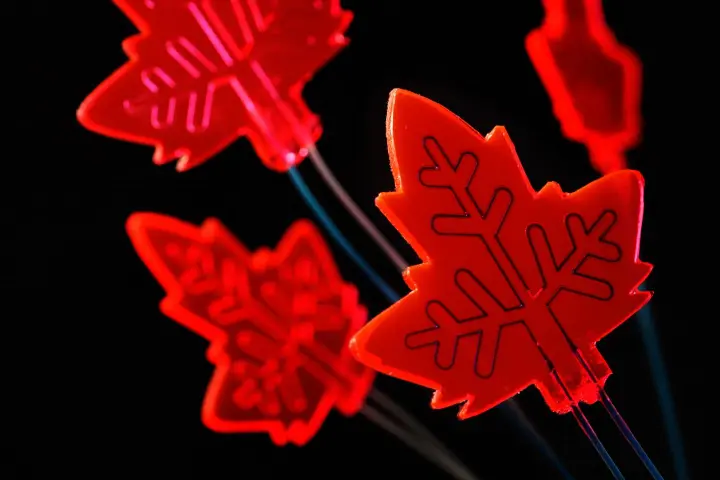 Inspired by a leaf, researchers at TU Eindhoven have developed a "mini-factory" that can use sunlight to manufacture chemical products such as drugs