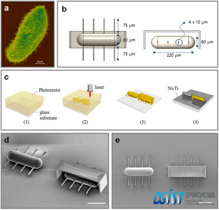 Design and fabrication process of ciliary stroke motion microrobots developed by Prof. Choi’s research team.