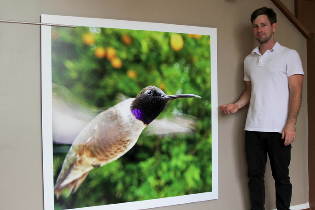 Bryson Lovett has created Bird Photo Booth, which uses remotely controlled smartphones to video and photograph birds