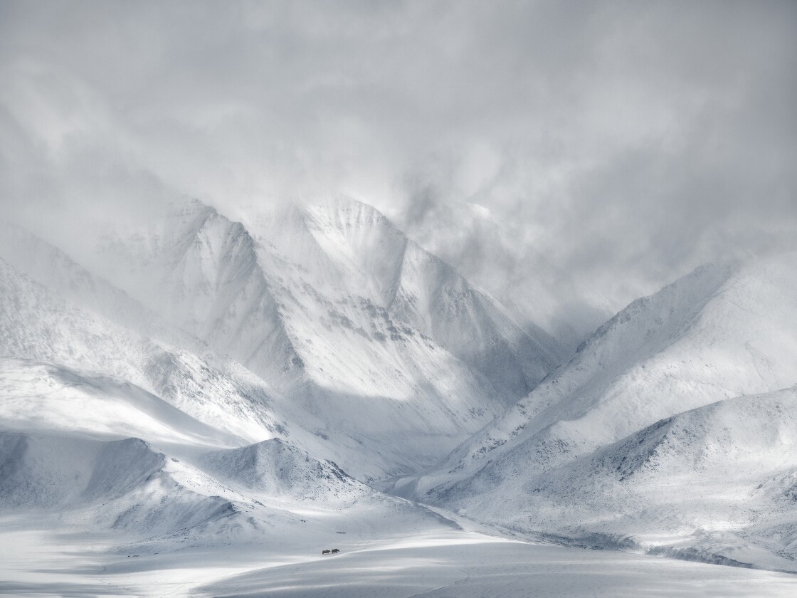 Winner of the Wildlife in Landscape Award