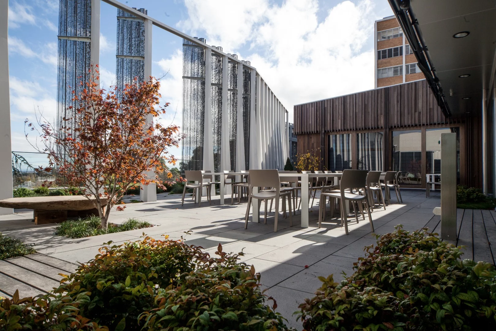 Alongside the Japanese classroom is a quaint rooftop Japanese garden that overlooks the university's Union Lawn