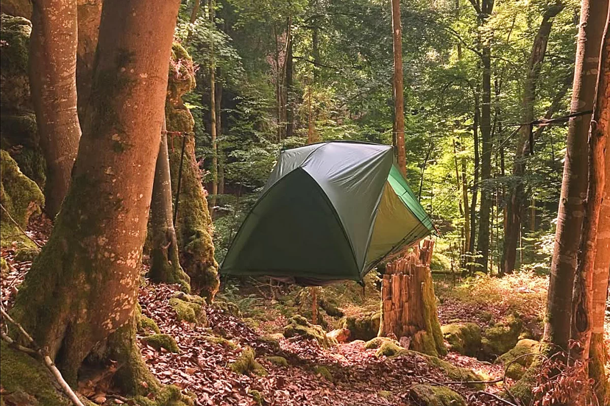 It almost looks like it's floating in the trees