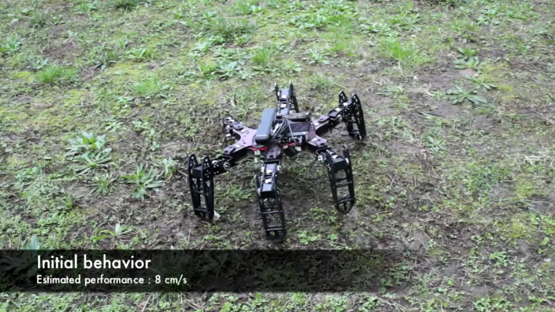 Reduced to five legs, the hexapod, now a pentapod, initially struggles