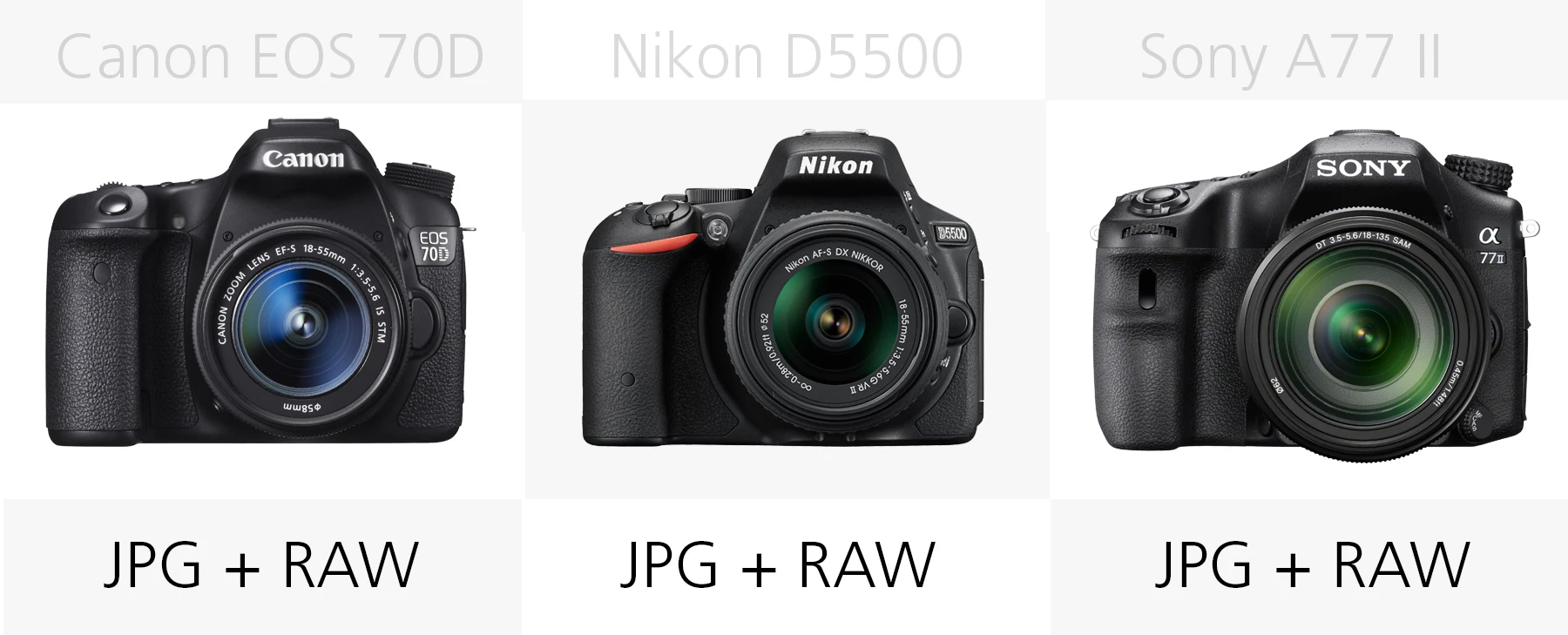 File-type comparison (Canon EOS 70D, Nikon D5500, Sony A77 II)