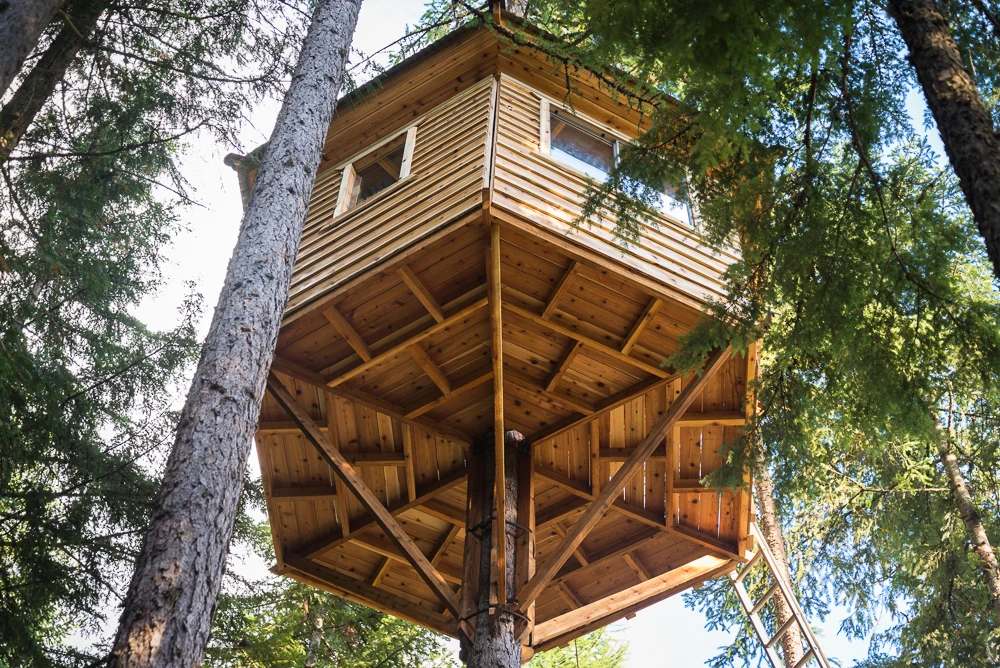 Schlussler's hand-built treehouse is 28 feet (8.5 meters) above the ground (Photo: Ethan Schlussler)