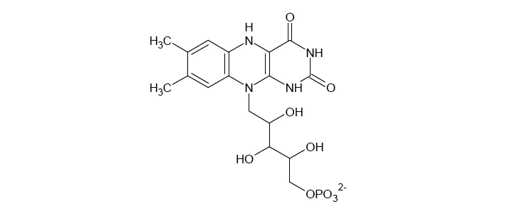 Molecular structure of luciferin