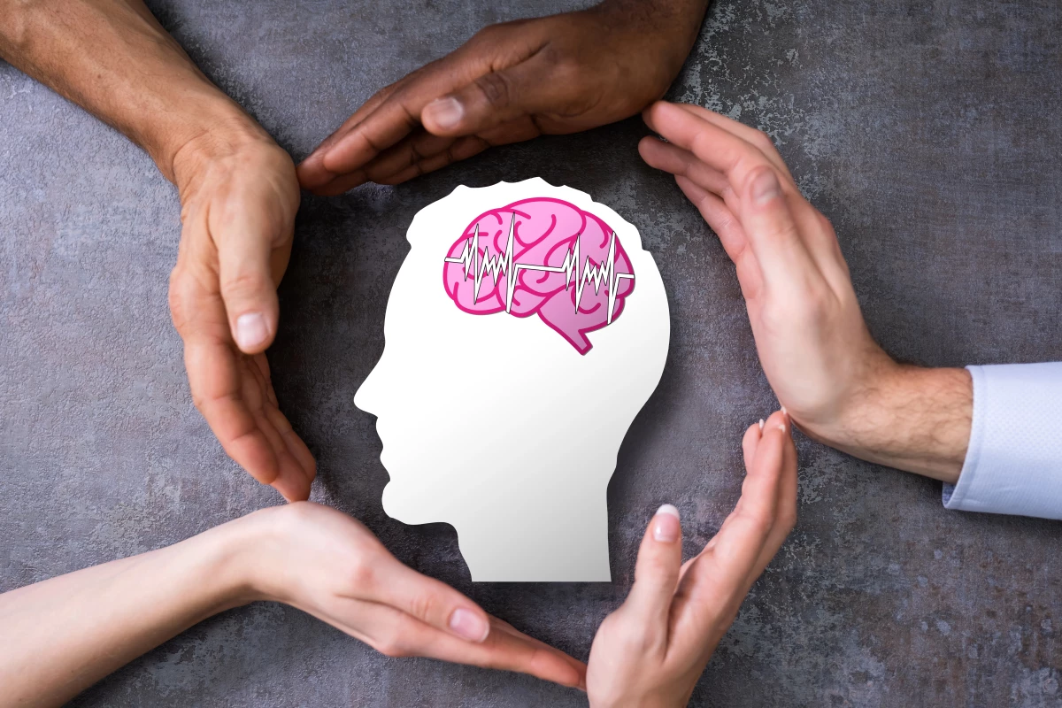 Scientists eliminate the gray area when it comes to gray matter in ADHD brains