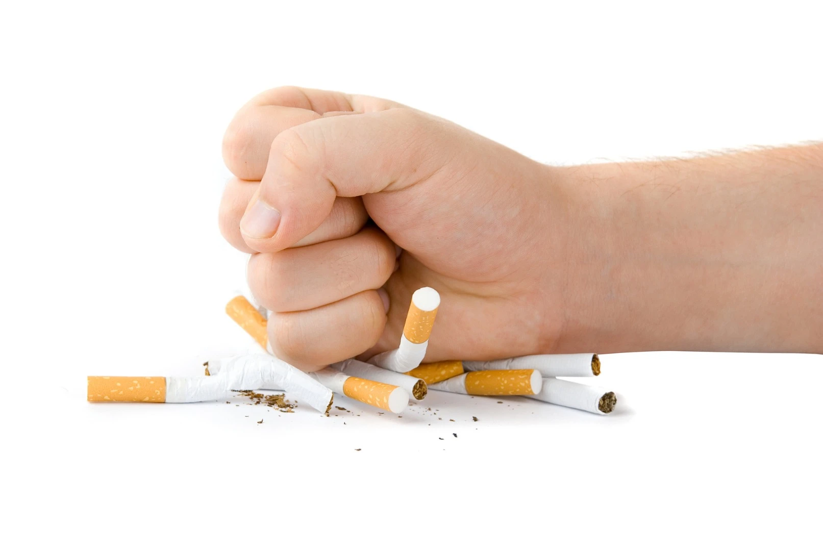 A new treatment for smoking cessation is ready to move into the first stages of human trials to test safety and efficacy