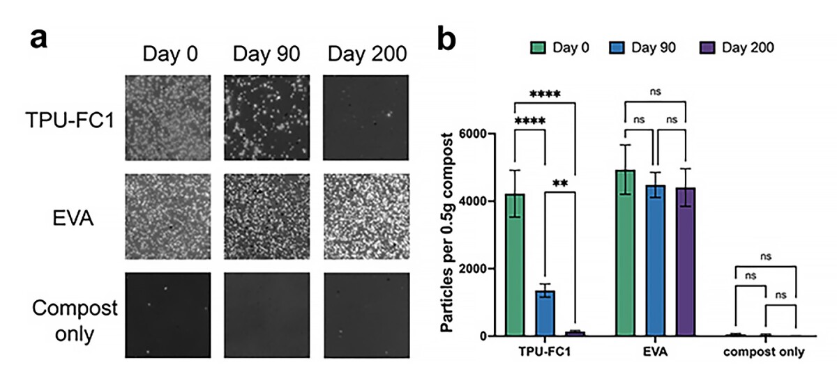 The number of particles from petroleum-based (EVA) and plant-based (TPU-FC1) microplastics indicates that, with time, EVAs hardly break down naturally, whereas the TPUs have largely vanished by day 200.