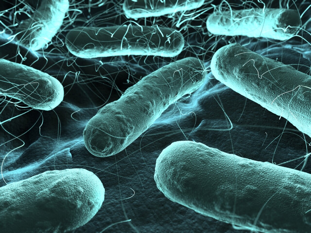 Selective antibiotics target specific bacteria to spare the microbiome
