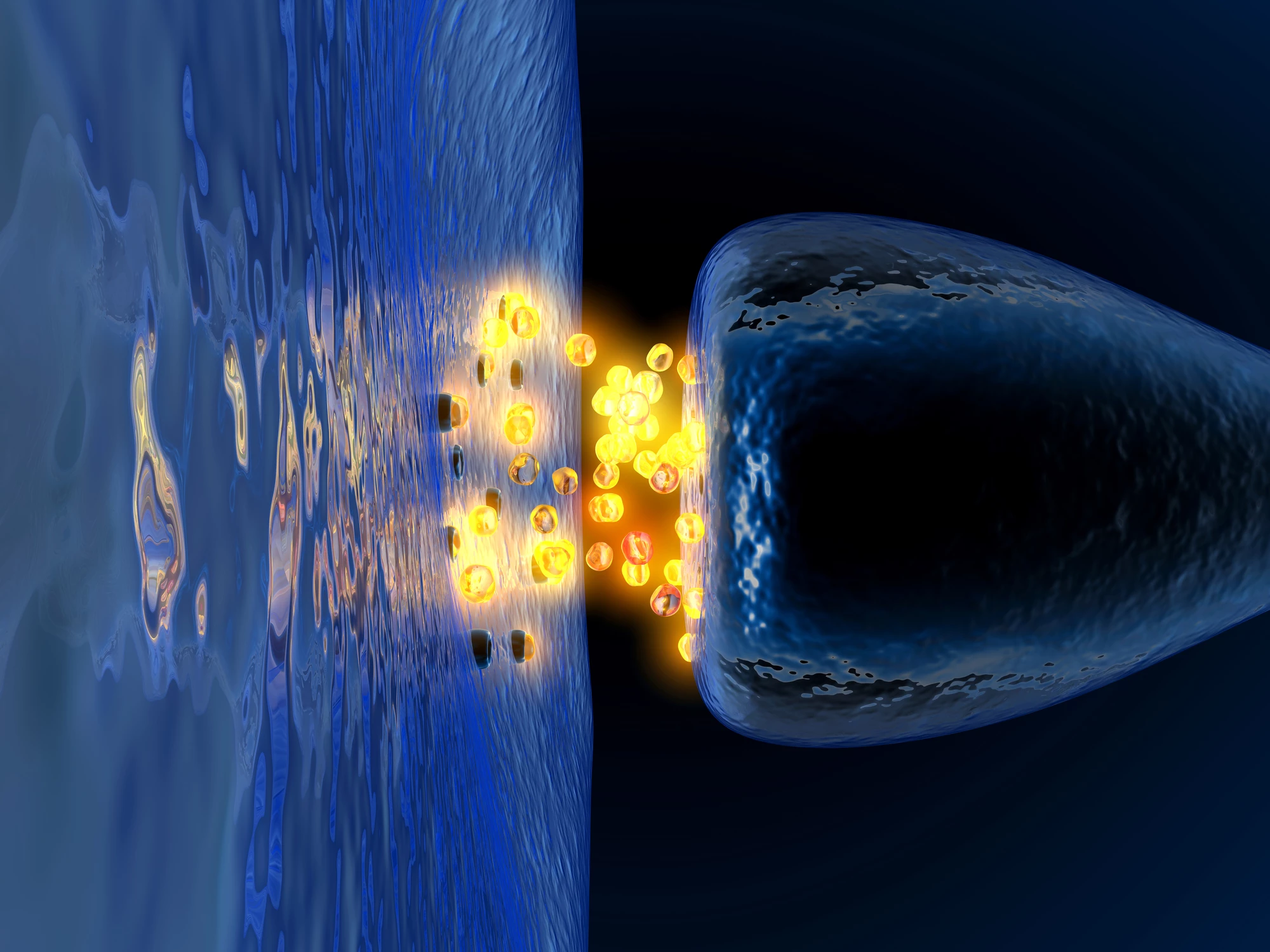 Scientists have discovered a new class of proteins that fight the destructive forces at play in Alzheimer's and similar conditions