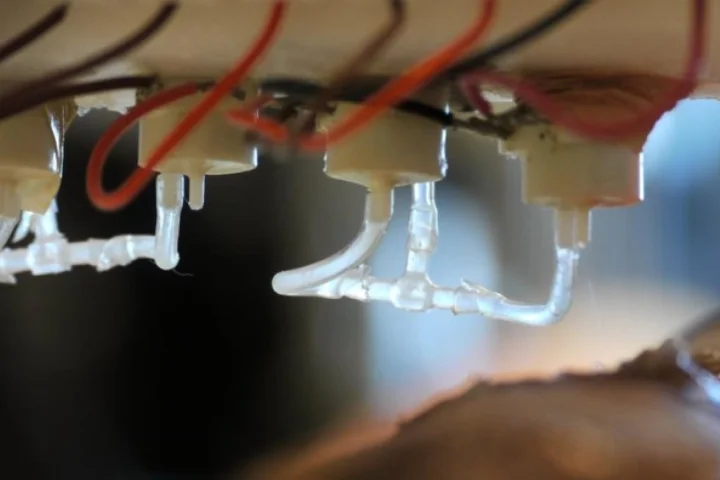 A close up view of the skin bioprinter nozzle developed by researchers at Wake Forest Institute for Regenerative Medicine