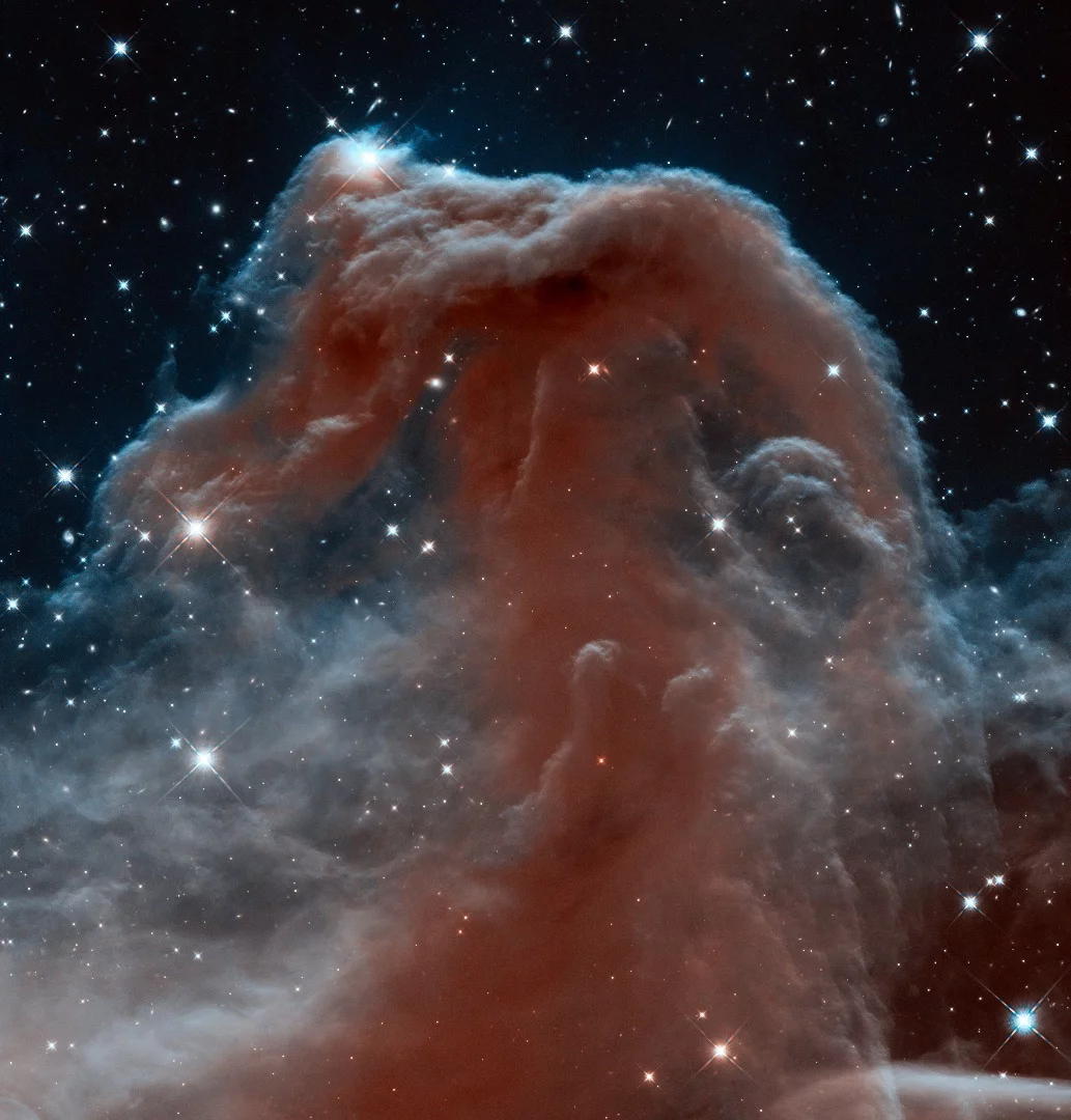 A different glimpse of the Horsehead Nebula, this time in infrared light.