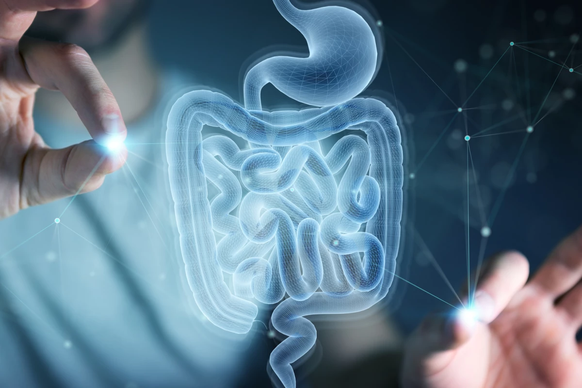 A mouse study has revealed young mice display learning and memory impairments following a fecal transplant from older animals
