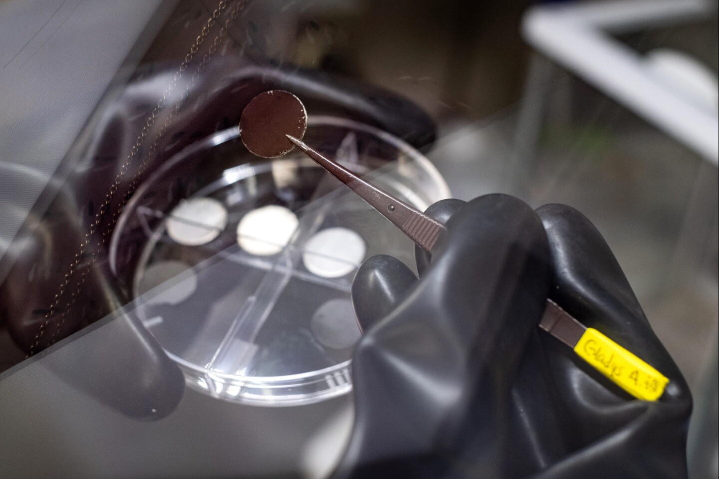 The battery breakthrough centers on a new kind of anode coated in a nanotube film