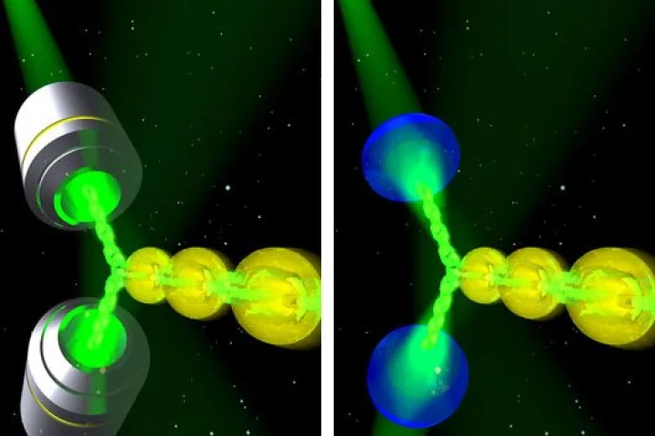 A team led by the University of St. Andrews has turned a laser into a tractor beam that works on the microscopic level