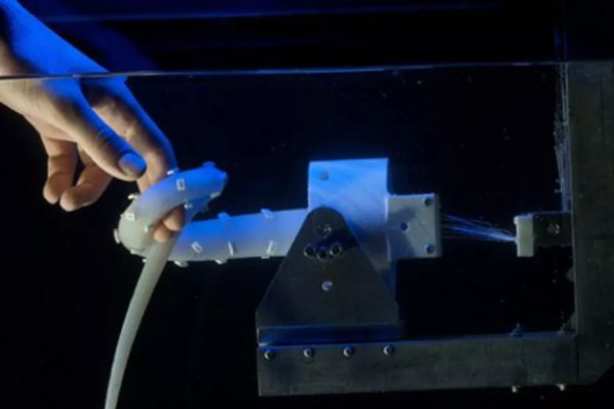 The robotic tentacle, created as part of the Octopus Project (Photo: Massimo Brega)