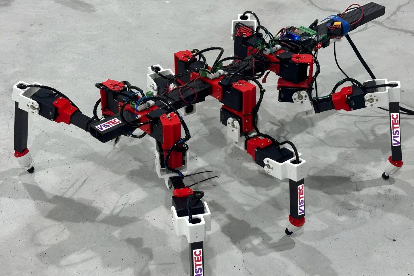 Teaching a hexapedal robot to walk like a stick insect