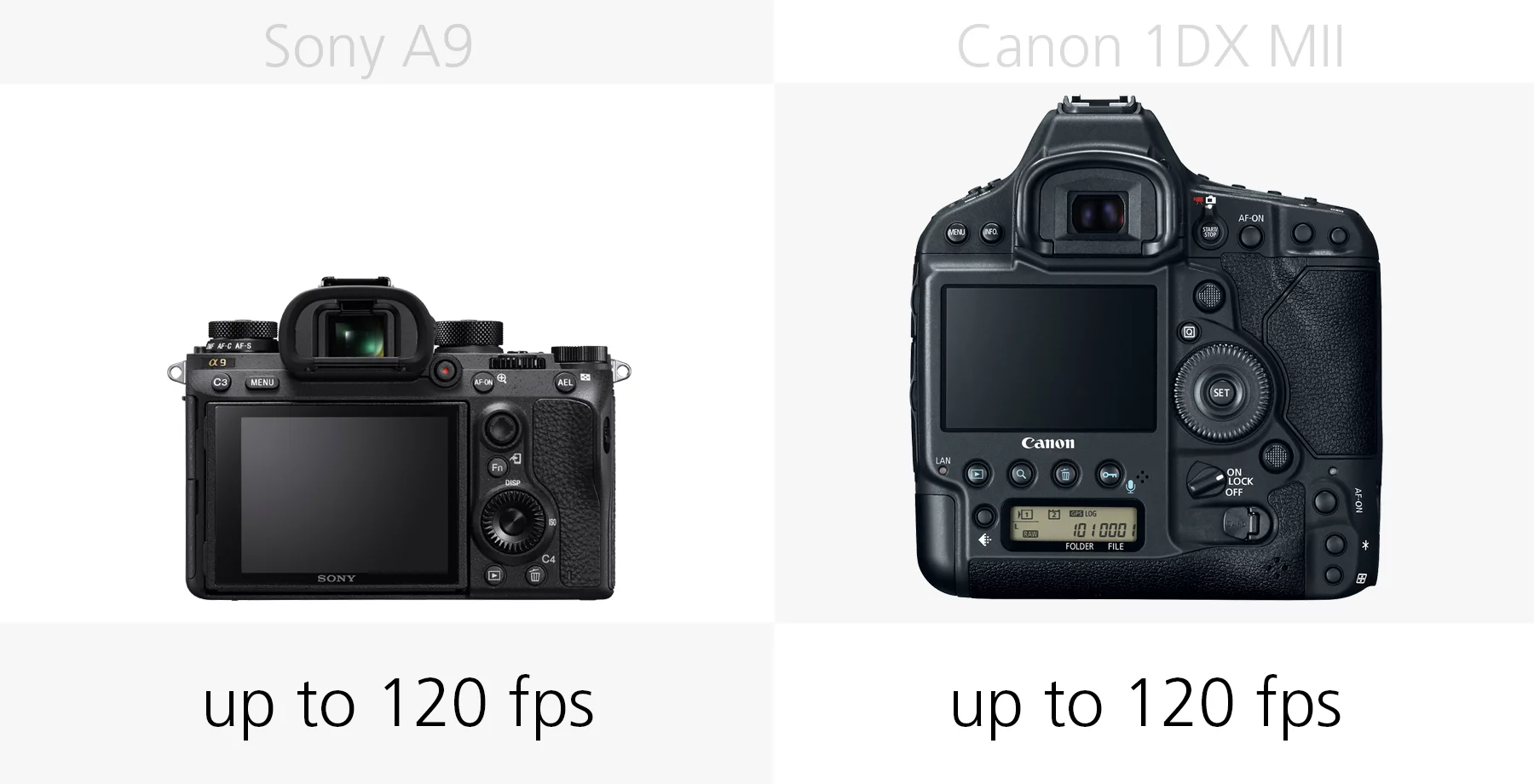 Comparing the Full HD video frame-rates of the Sony A9 and Canon 1DX Mark II