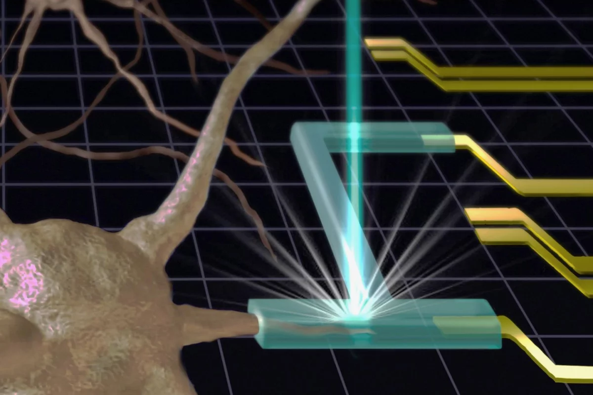 An illustration depicts how the technology could be used to create a hydrogel artificial synapse (green), connecting neurons to electrodes