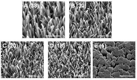 Various aspect ratios of ZnO nanotubes created for this research, where higher ratios had greater efficiencies (Photo: Professor James Durrant)