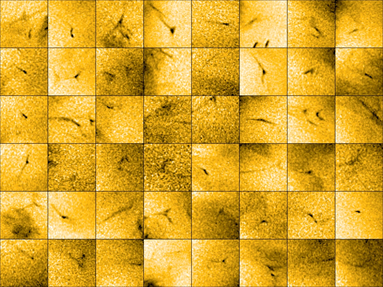 A collage of Solar Orbiter images of tiny jets on the Sun, which new observations suggest could be a significant source of the solar wind