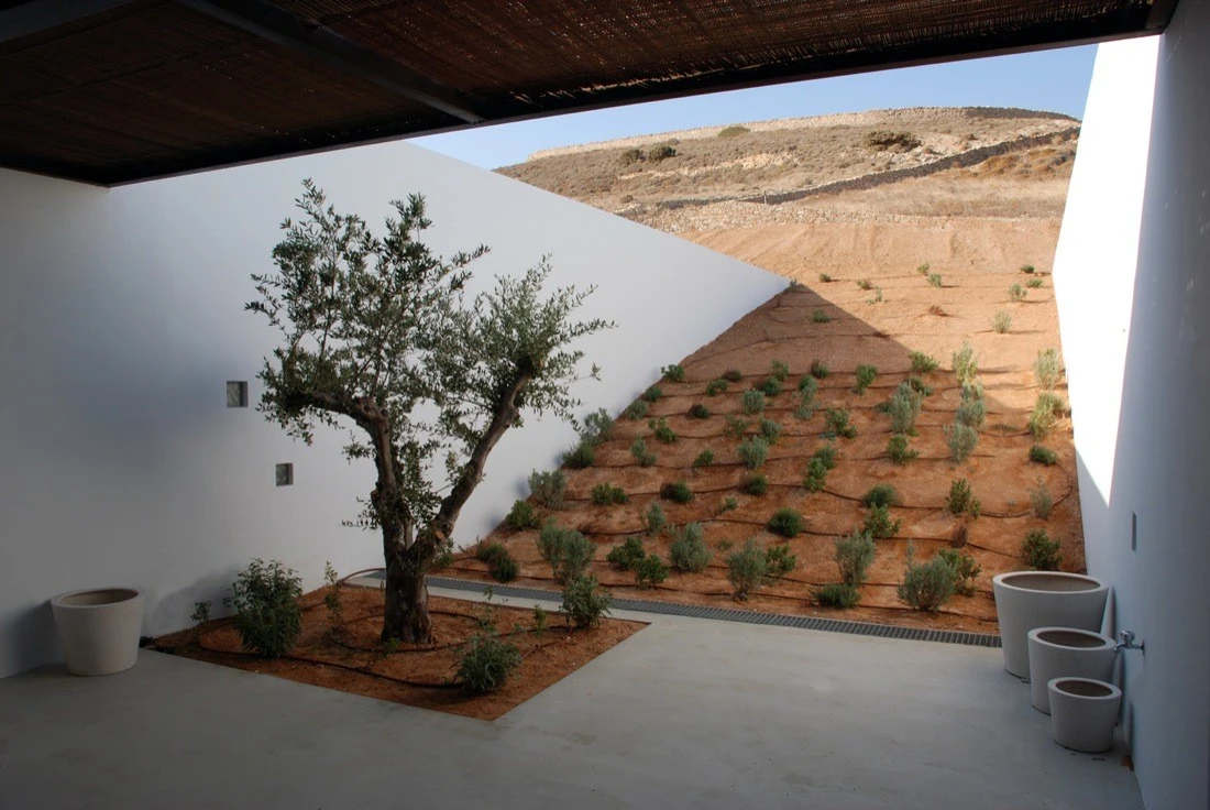 Aloni House sits in a natural gully between two sloping hills. Much of the structure nestles under the ground making it nearly impossible to grasp its true scale