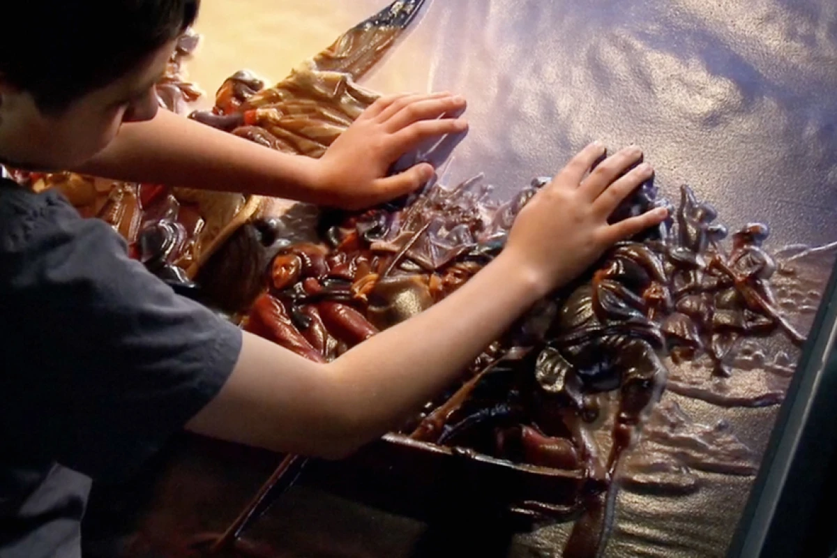 "Our goal is to make the world’s greatest art and greatest photography available to blind people at every museum, every science centre and every cultural institution ..."