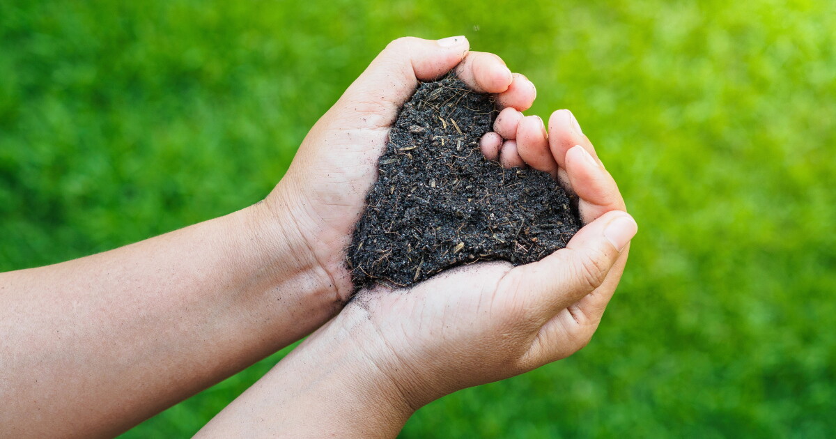 Human composting becomes legal as demand for garden-variety burial surges