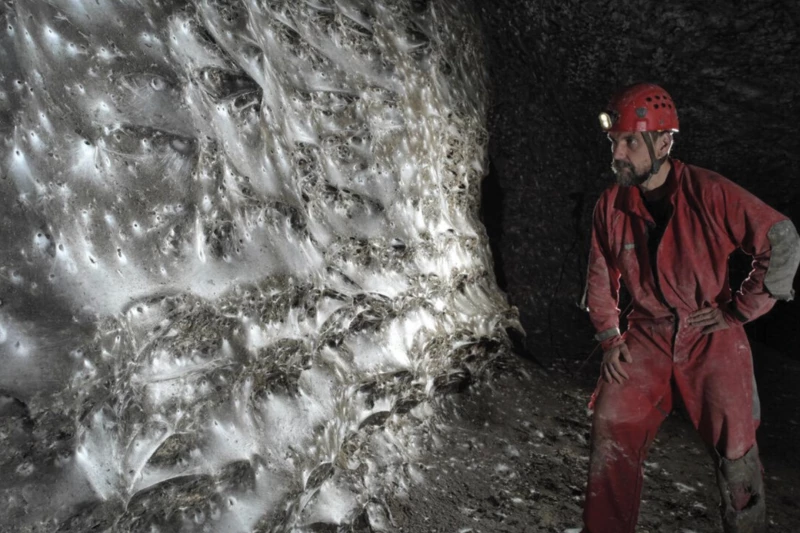 The World’s Largest Web Shelters 110,000 Spiders in Total Darkness Deep underground in a dark sulfur cave on the Albania–Greece border, scientists found a 100 m² communal web housing around 110,000 spiders.