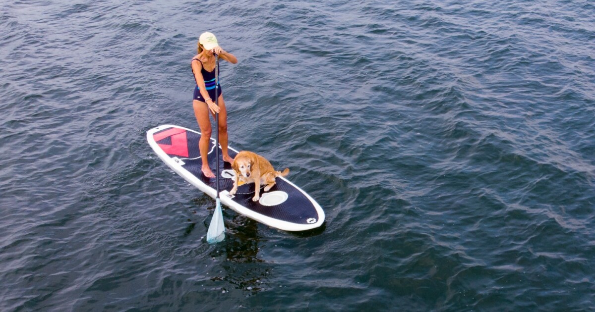 Modular standup paddleboard goes to pieces in a good way