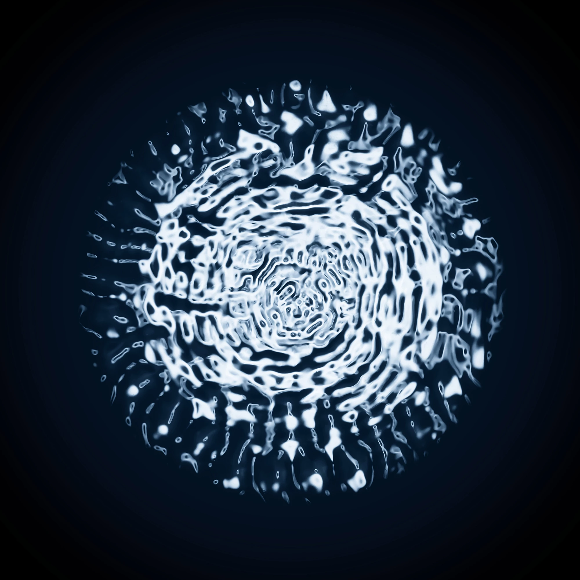 Annie Maunder Prize for Image Innovation. "Black Echo"