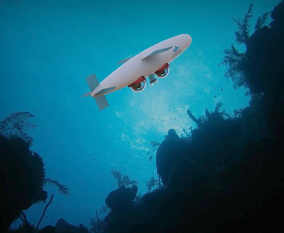 The SeaBird submersible