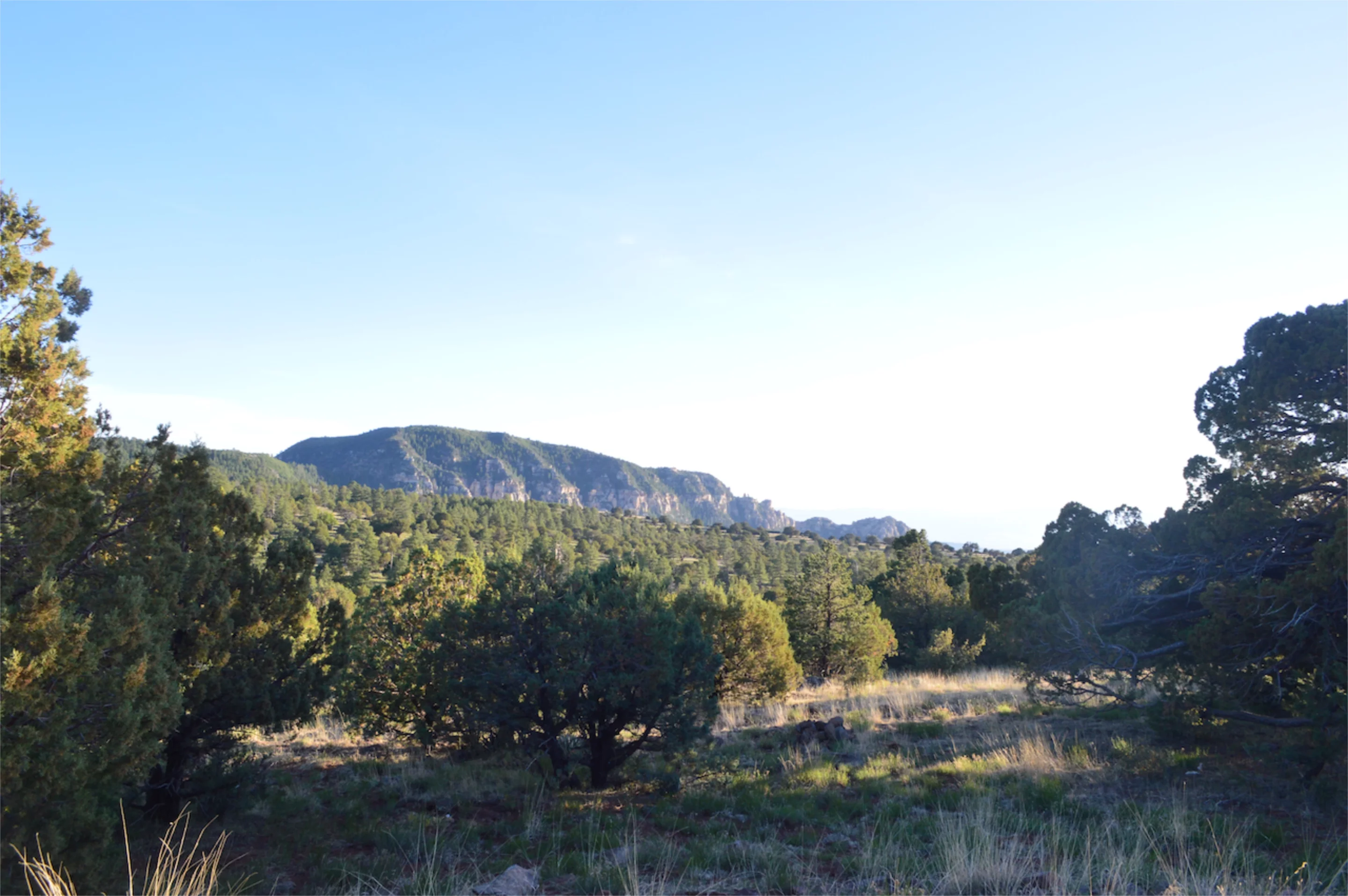 My campsite along Schnebly Hill Road just before the descent into Sedona